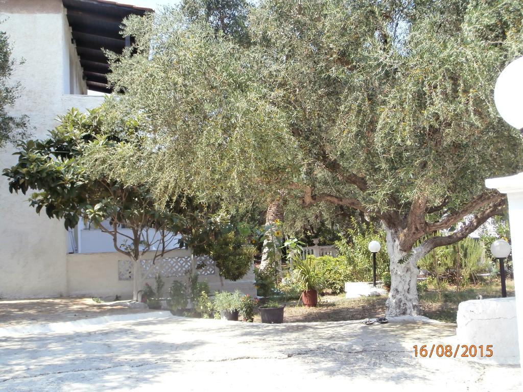 Billy'S Amoudi Apartments Ngoại thất bức ảnh
