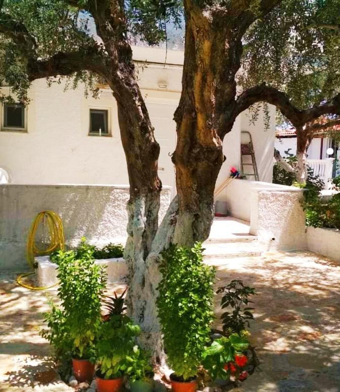 Billy'S Amoudi Apartments Ngoại thất bức ảnh
